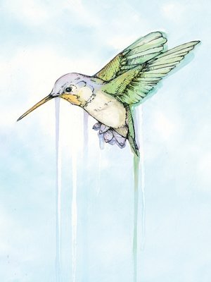 cover image of Hummingbird